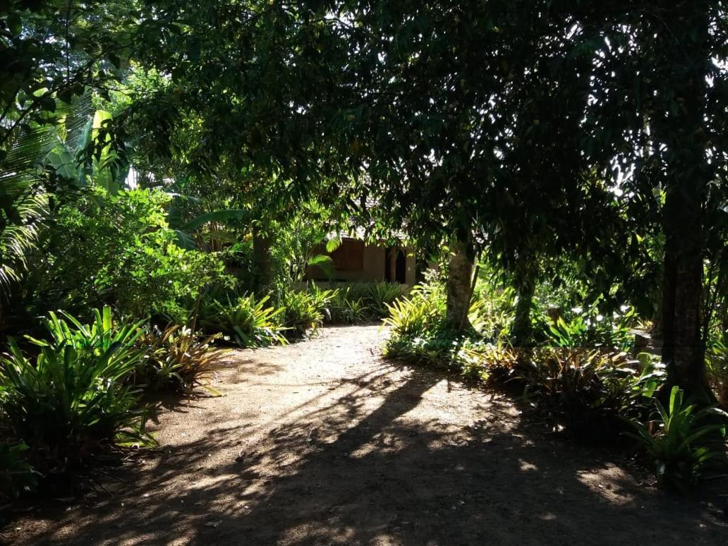 Vila Prosperidade Trancoso Bagian luar foto
